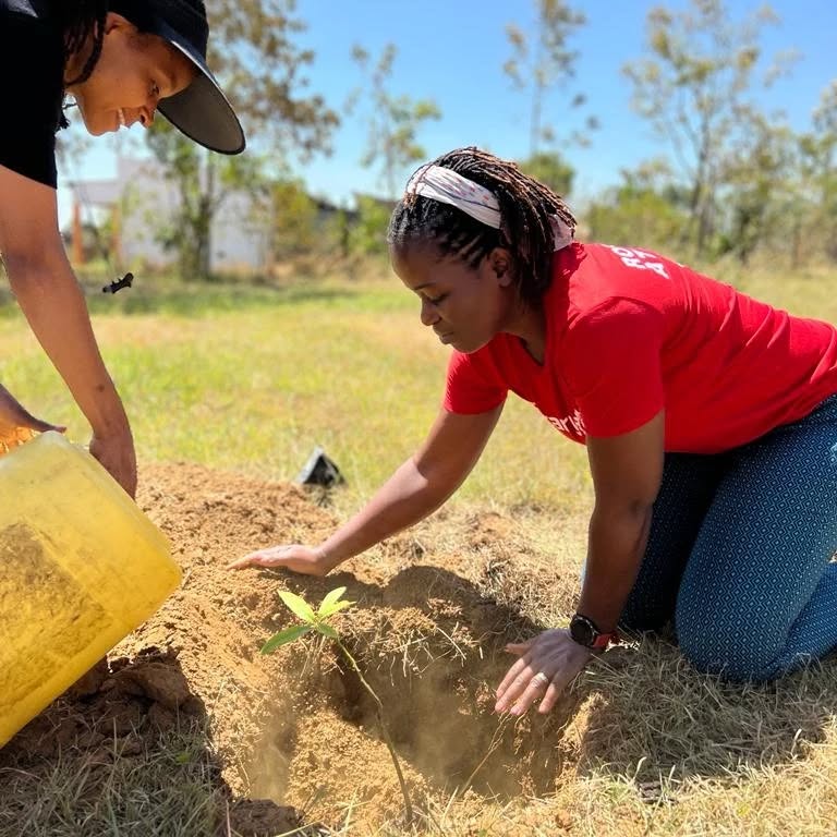 A member in a red Rotary shirt firming soil around a newly planted seedling while another pours water from a jerrycan.